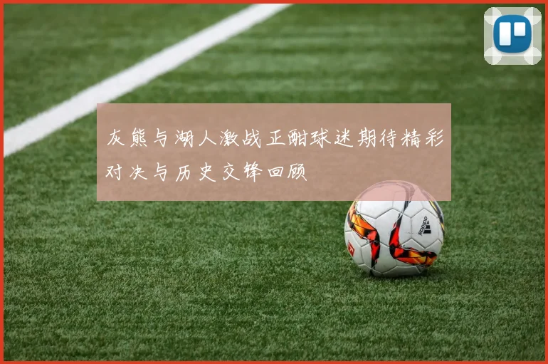 灰熊与湖人激战正酣球迷期待精彩对决与历史交锋回顾