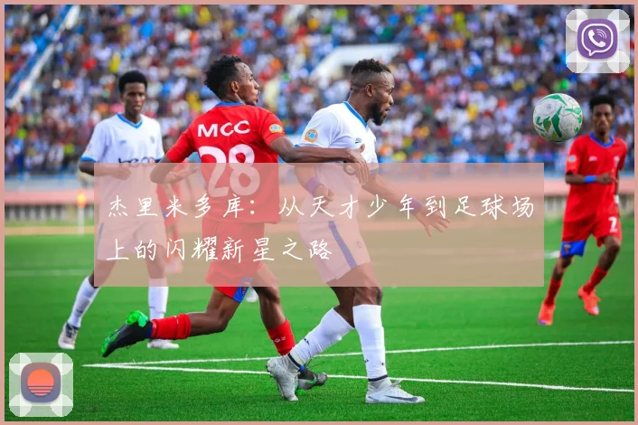 杰里米多库：从天才少年到足球场上的闪耀新星之路