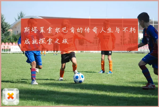 斯塔莱索尔巴肯的传奇人生与不朽成就探索之旅