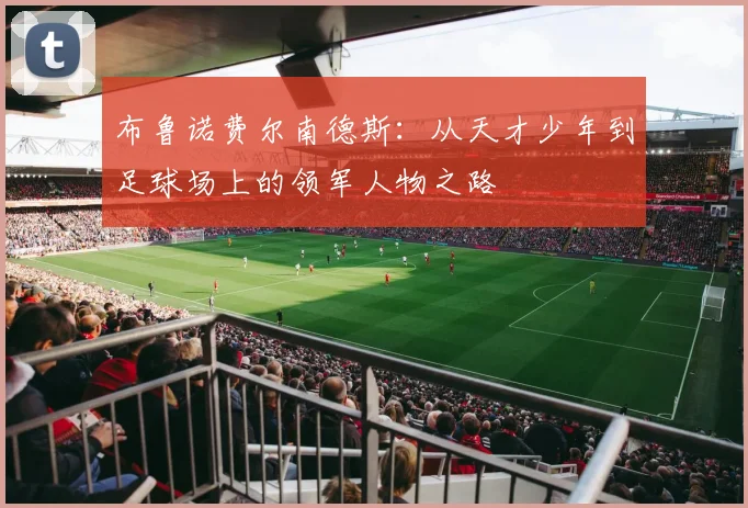 布鲁诺费尔南德斯：从天才少年到足球场上的领军人物之路